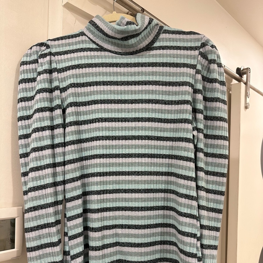 Anthropologie striped turtleneck